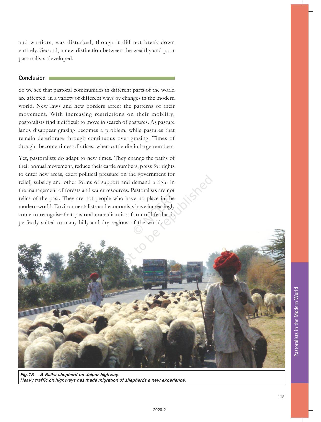 pastoralists-in-the-modern-world-ncert-book-of-class-9-history-india